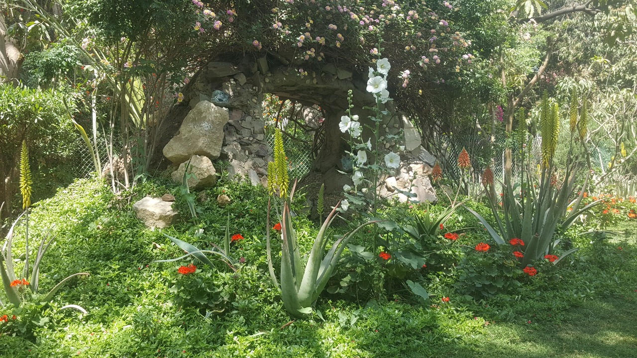 Photo of Outdoor in Giza