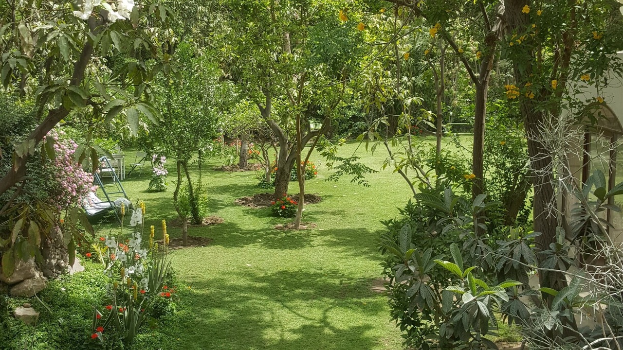 Photo of Outdoor in Giza