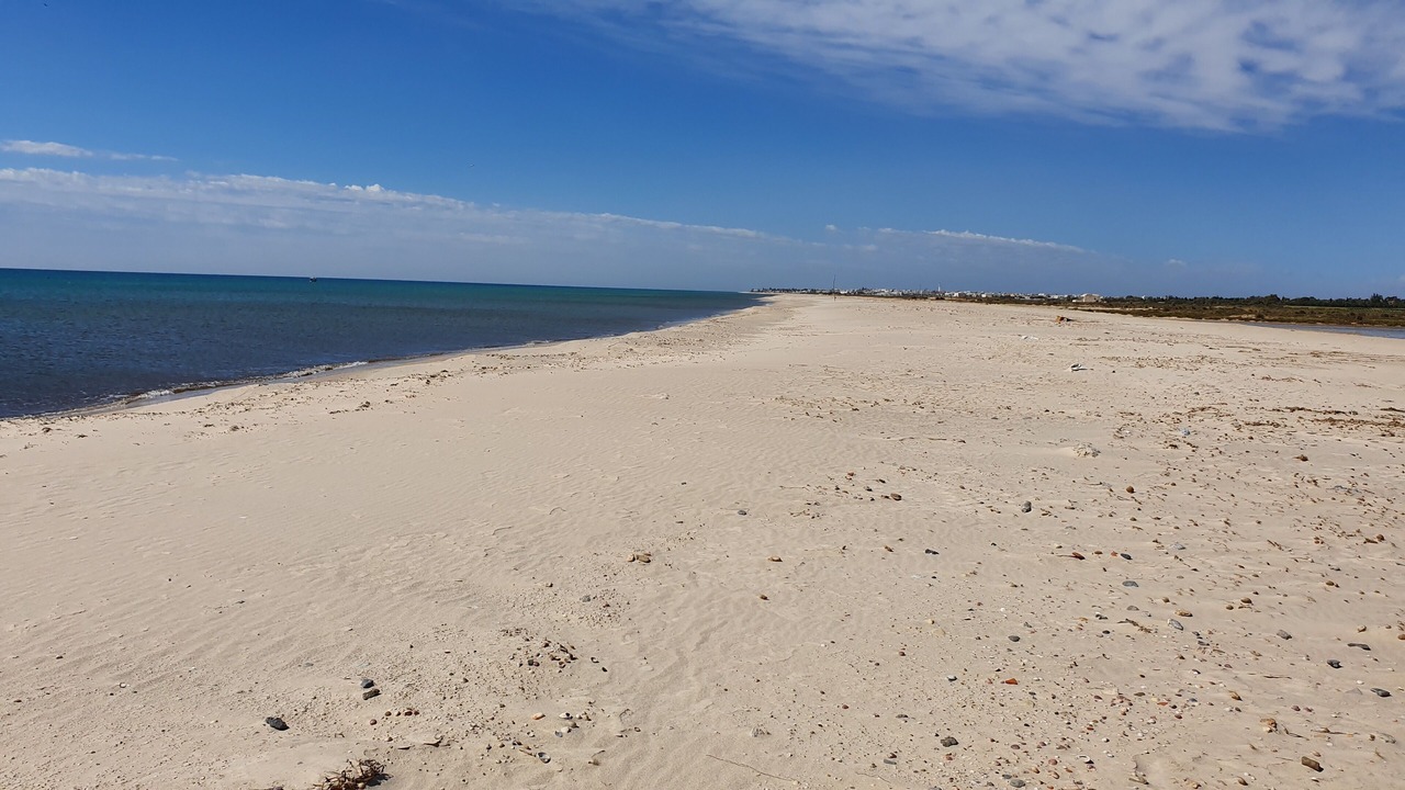 Photo of Others in El Maamoura