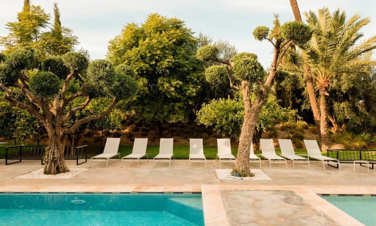 Photo of Outdoor in Palmeraie