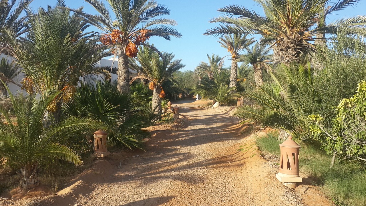 Photo of Outdoor in Djerba Ajim