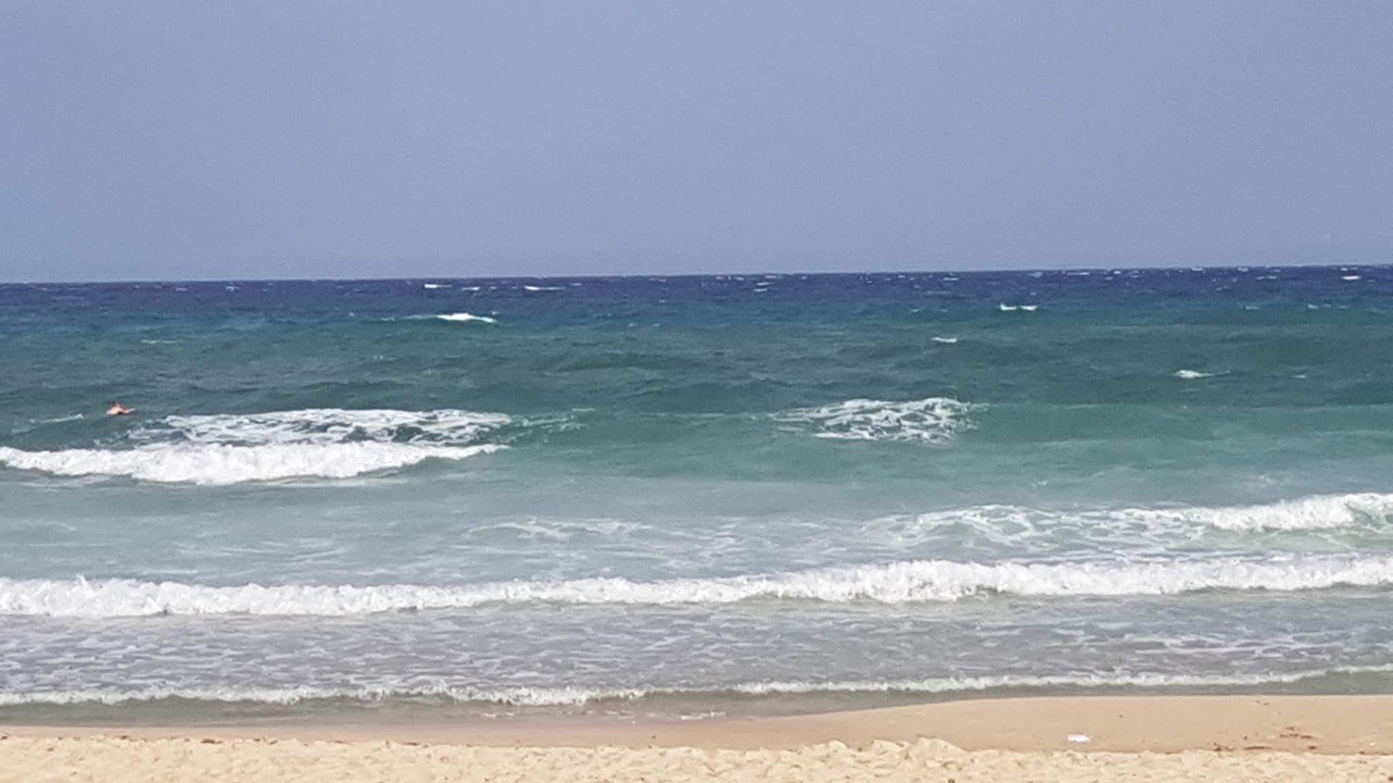 Photo of Others in Hammamet