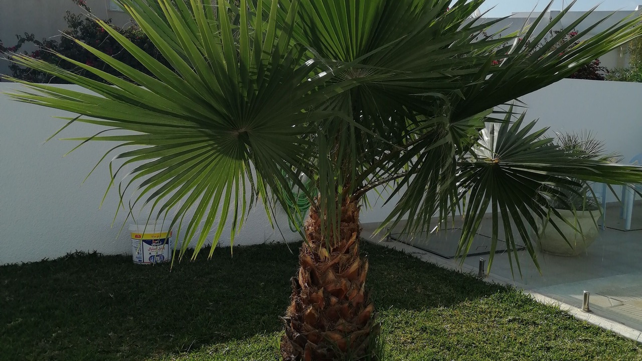 Photo of Outdoor in Hammam Sousse