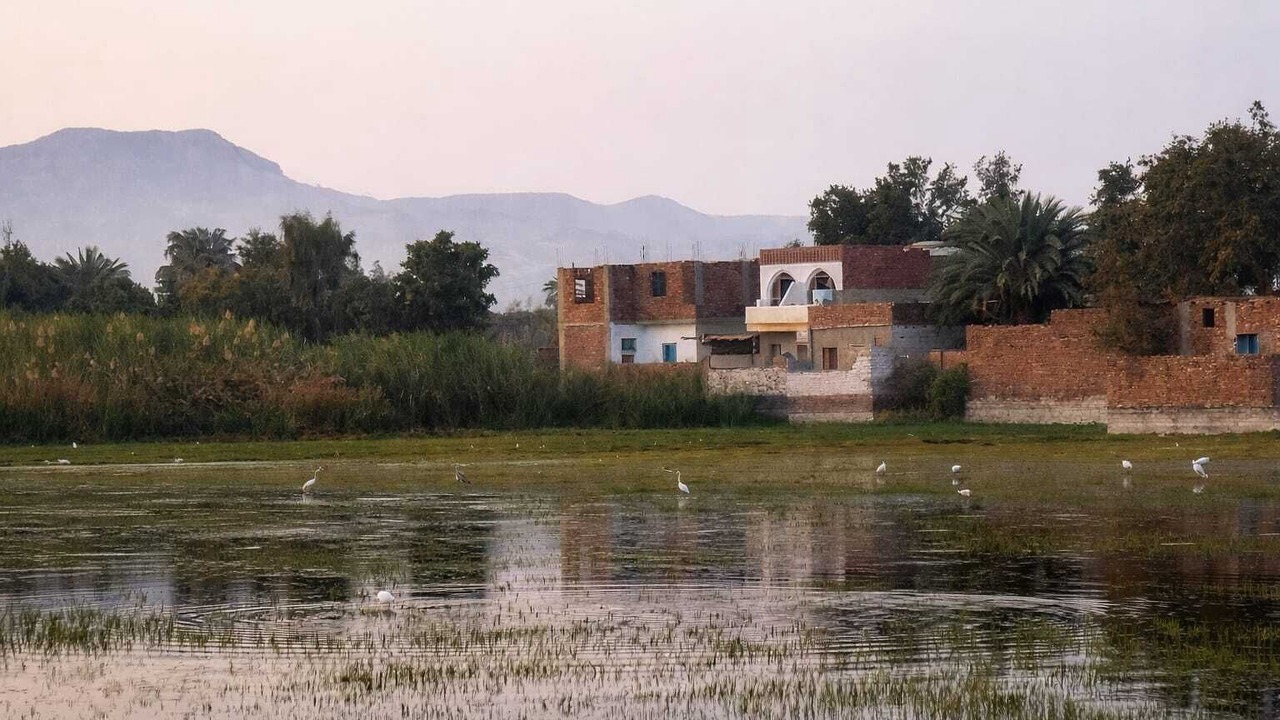 Photo of Others in Luxor
