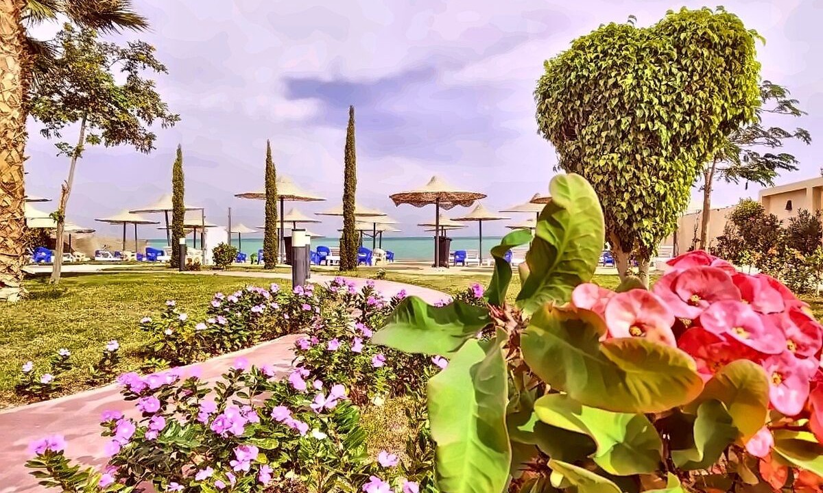 Photo of Outdoor in Hurghada