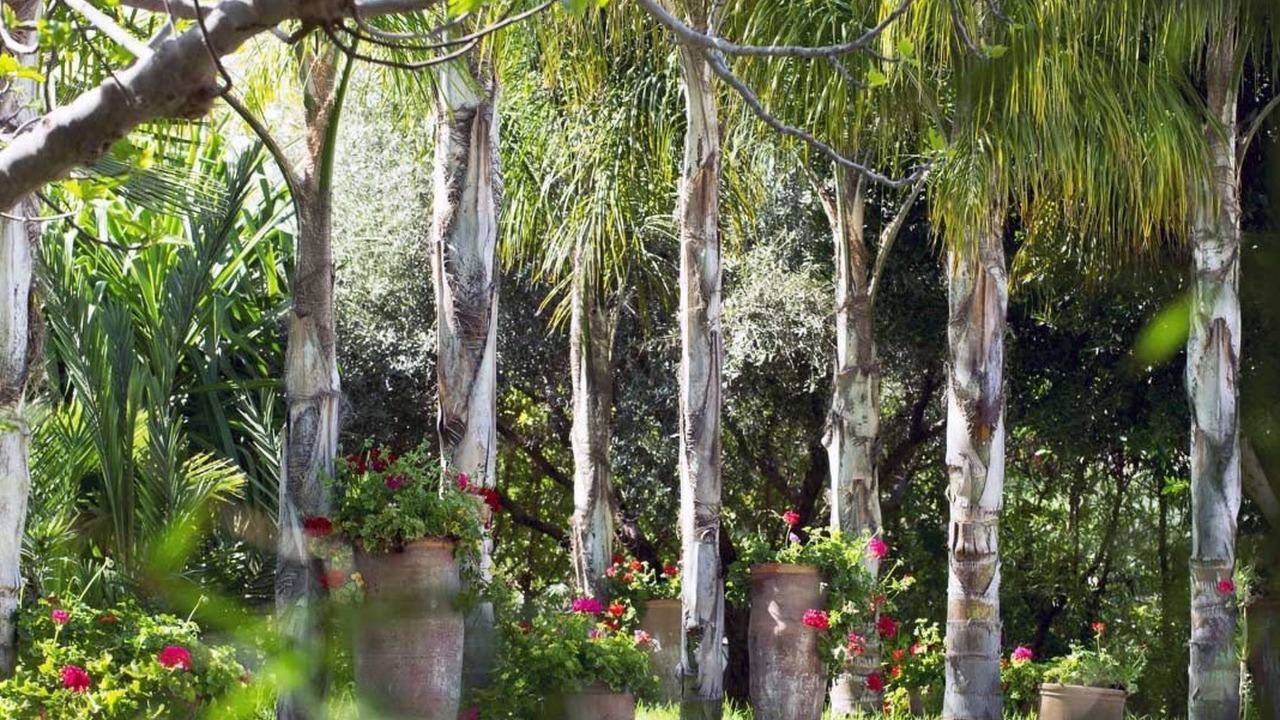 Photo of Outdoor in Menara