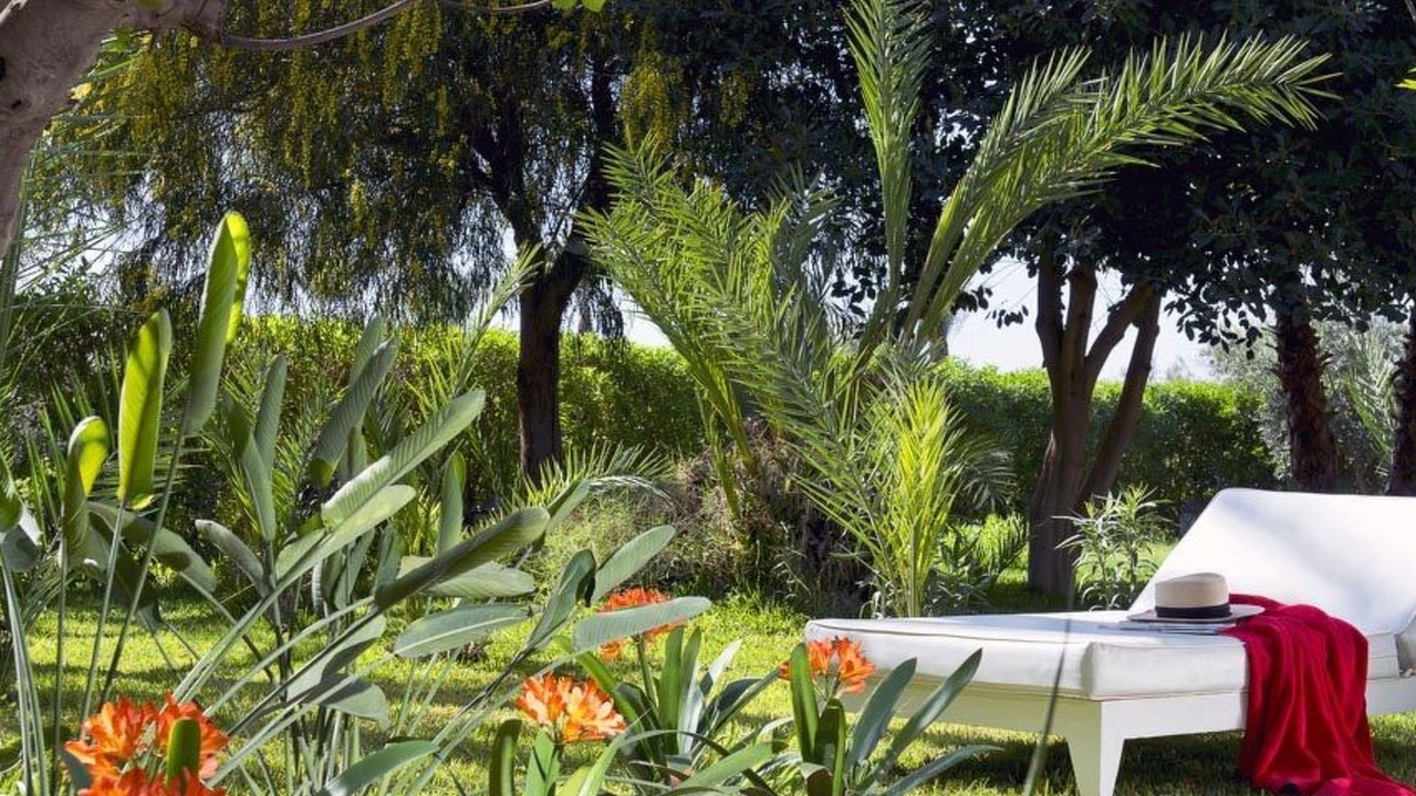 Photo of Outdoor in Menara