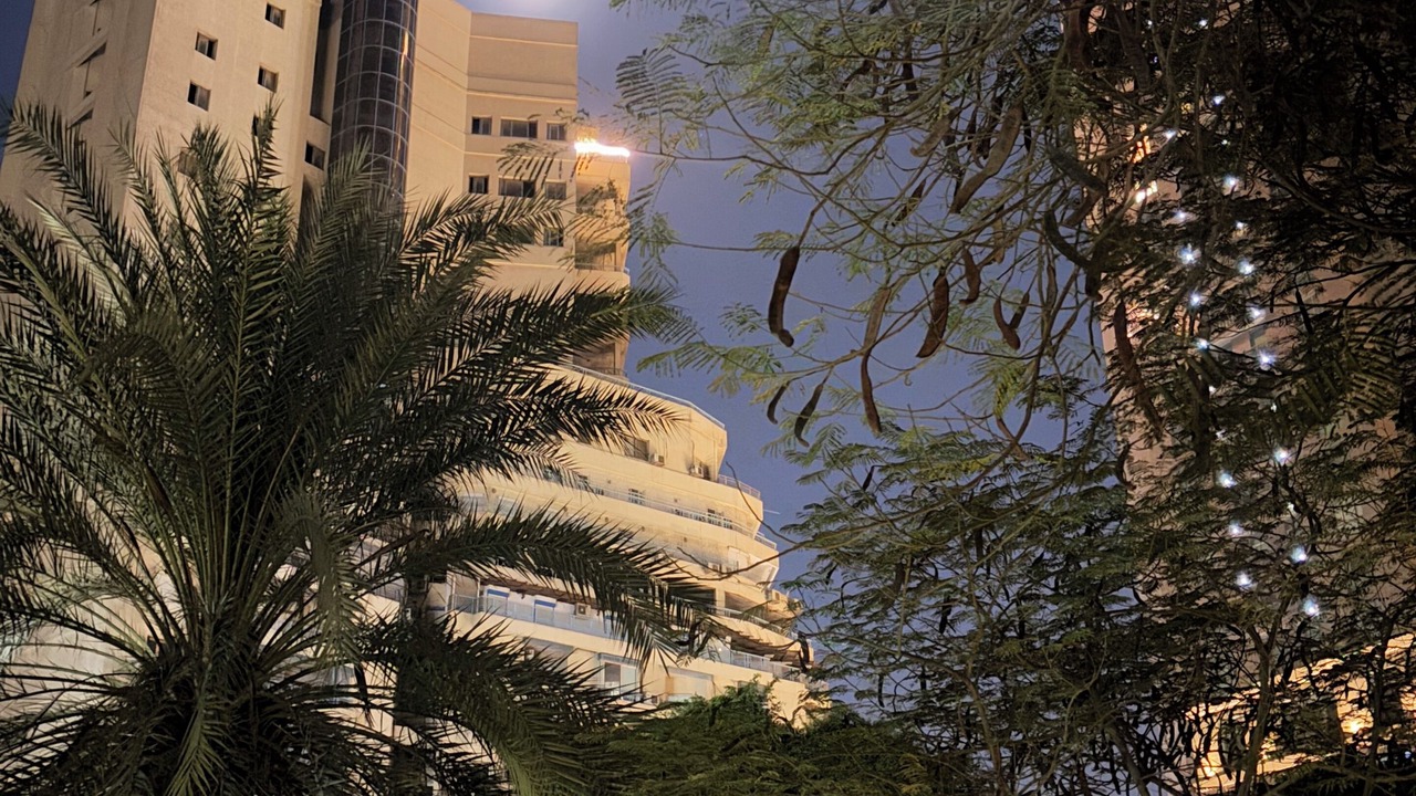 Photo of Outdoor in Garden City