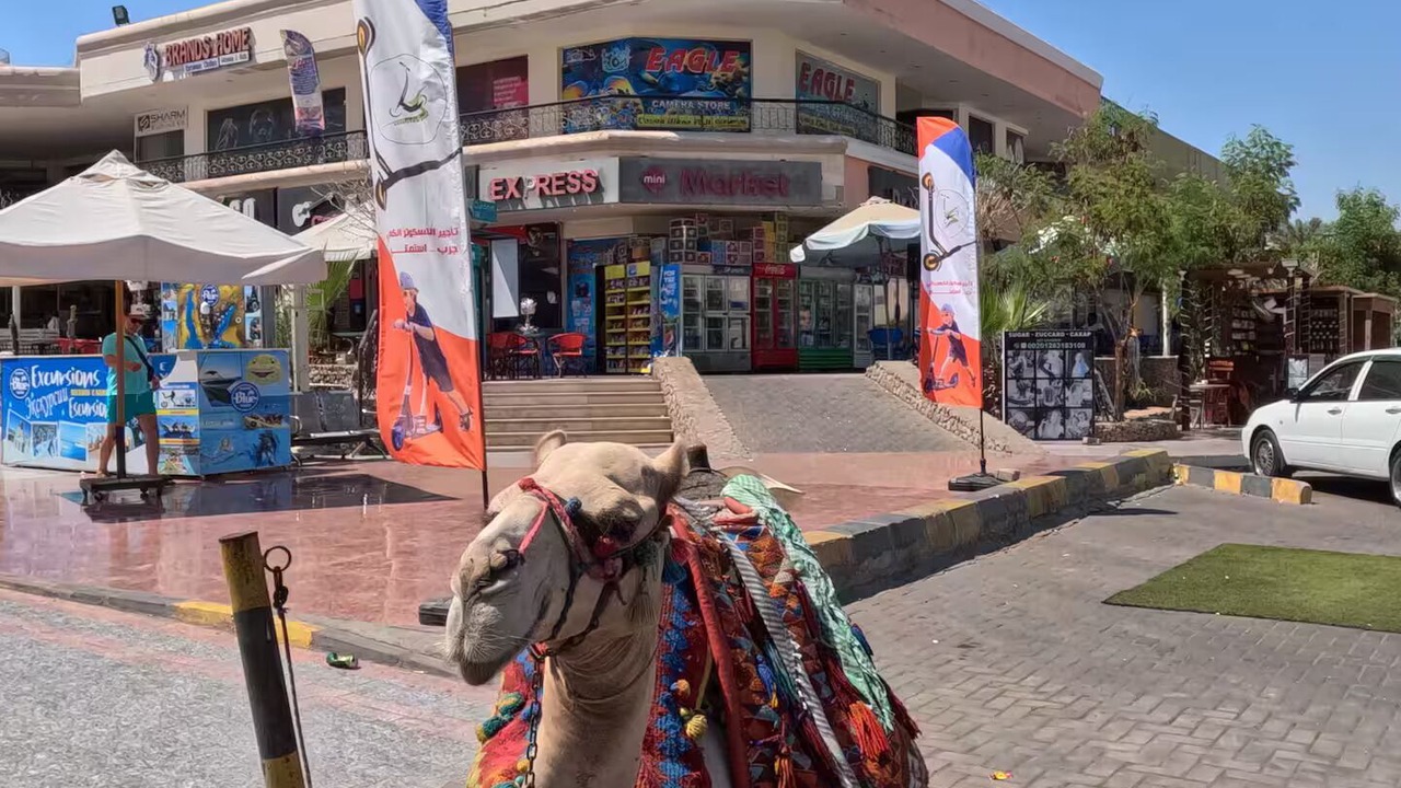 Photo of Others in El Hadaba