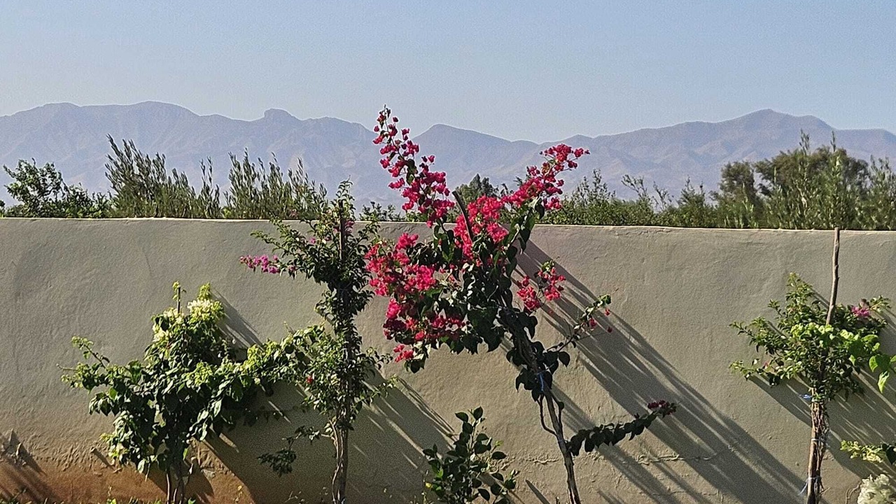 Photo of Outdoor in Bougriba
