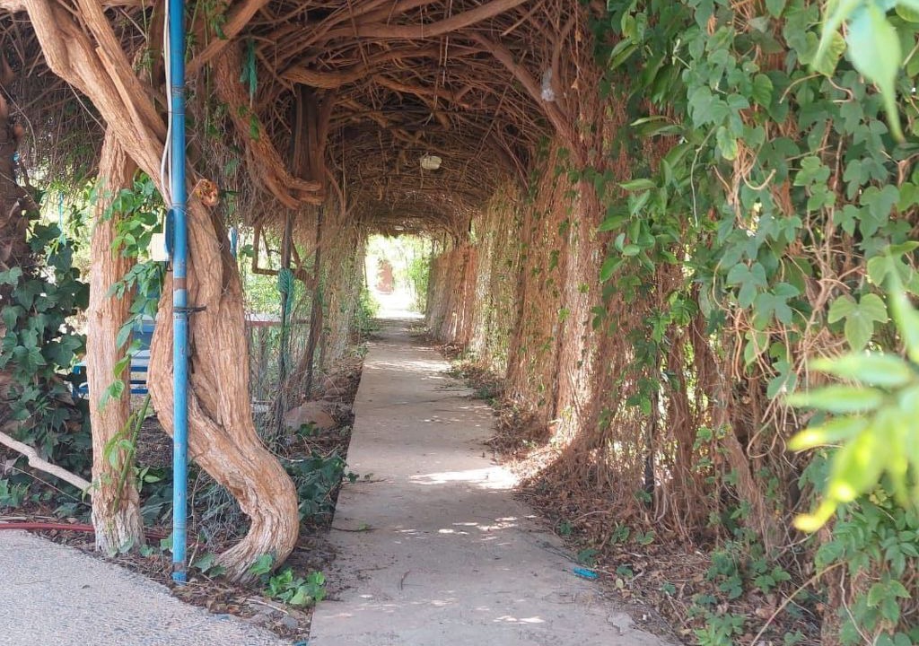 Photo of Outdoor in Tamazouzte