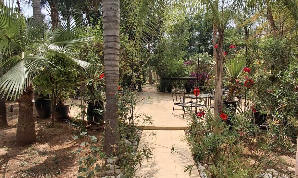 Photo of Patio Balcony in Hivernage