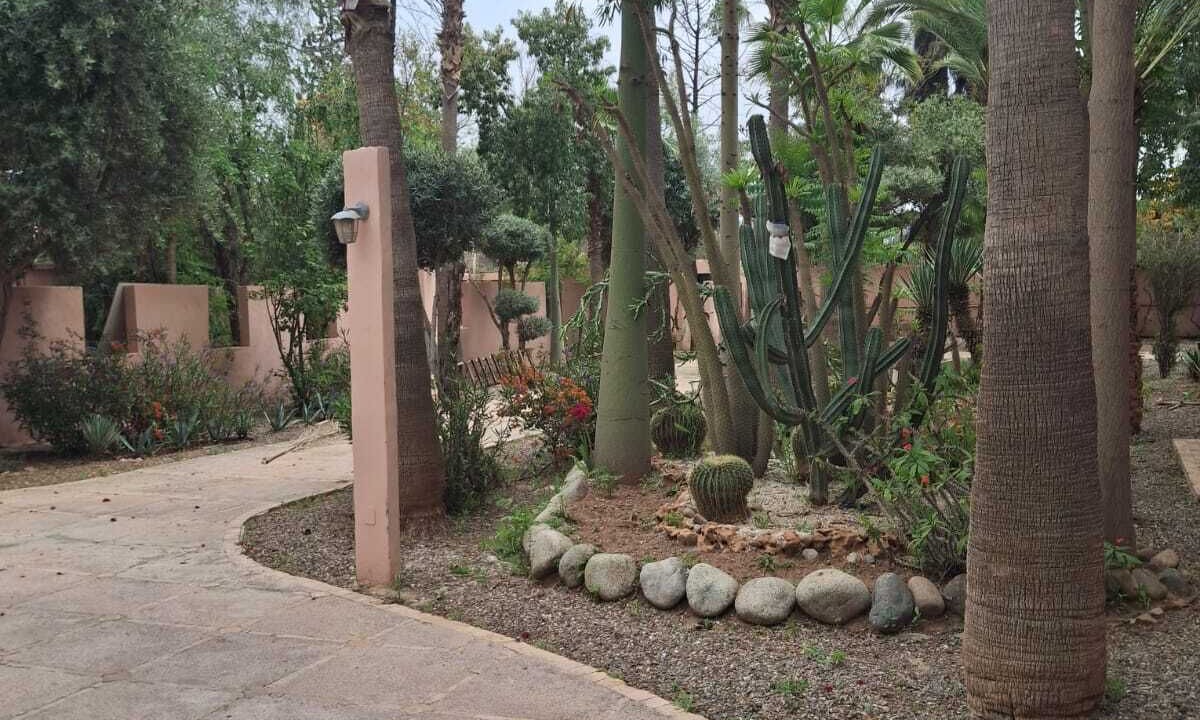 Photo of Outdoor in Hivernage