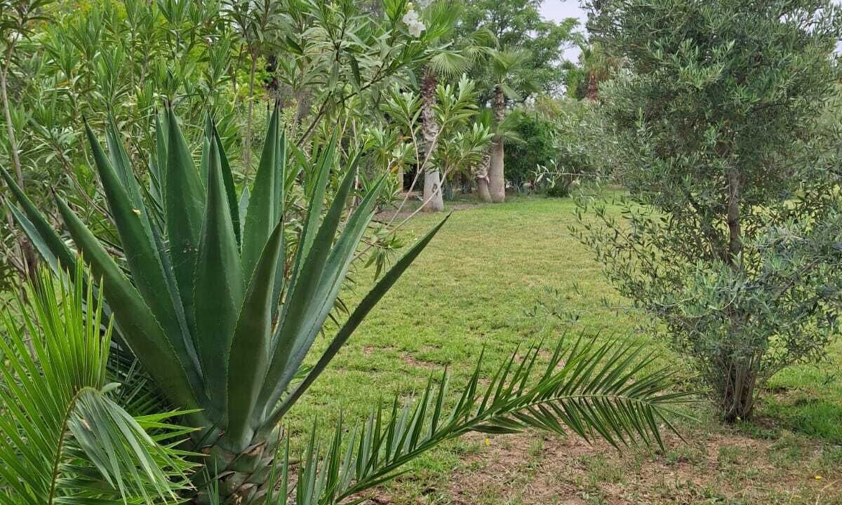 Photo of Outdoor in Hivernage