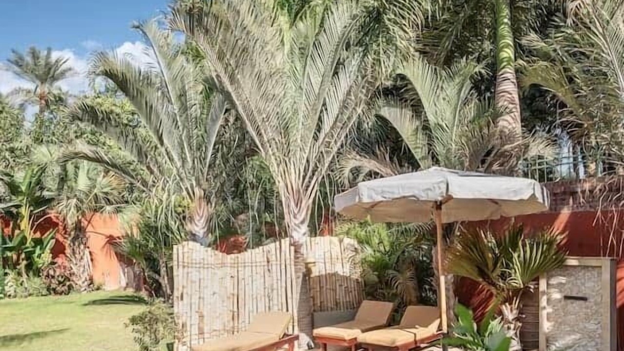 Photo of Outdoor in Giza