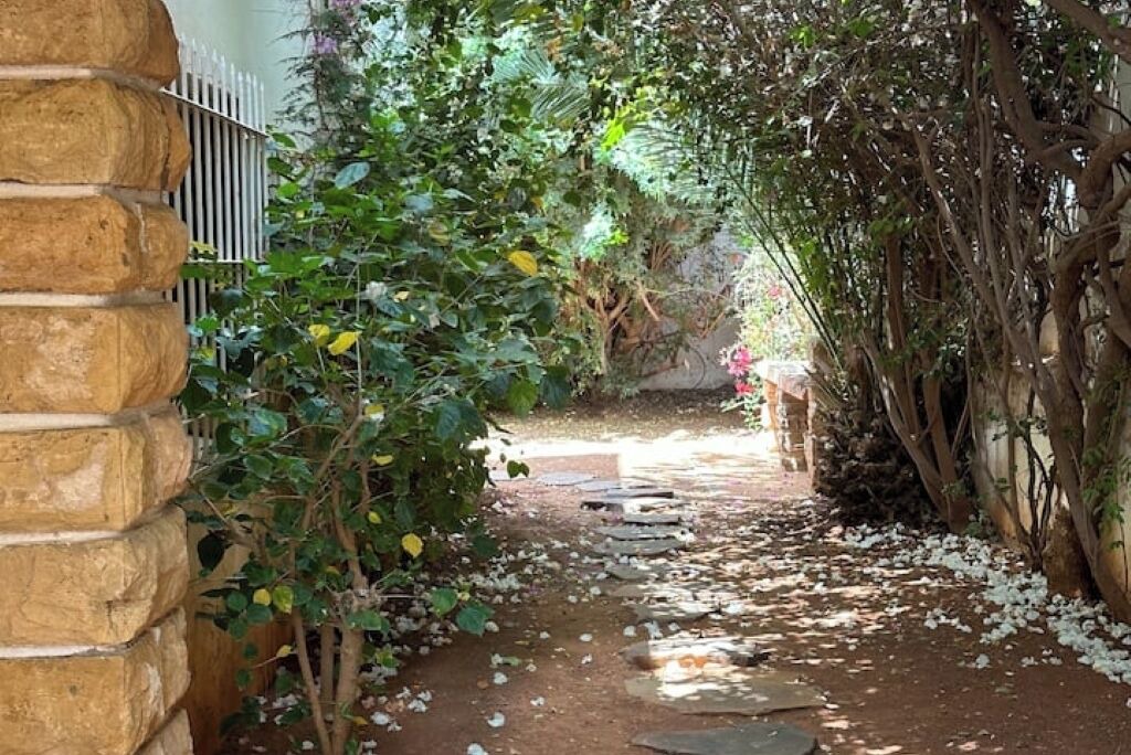 Photo of Outdoor in Saidia