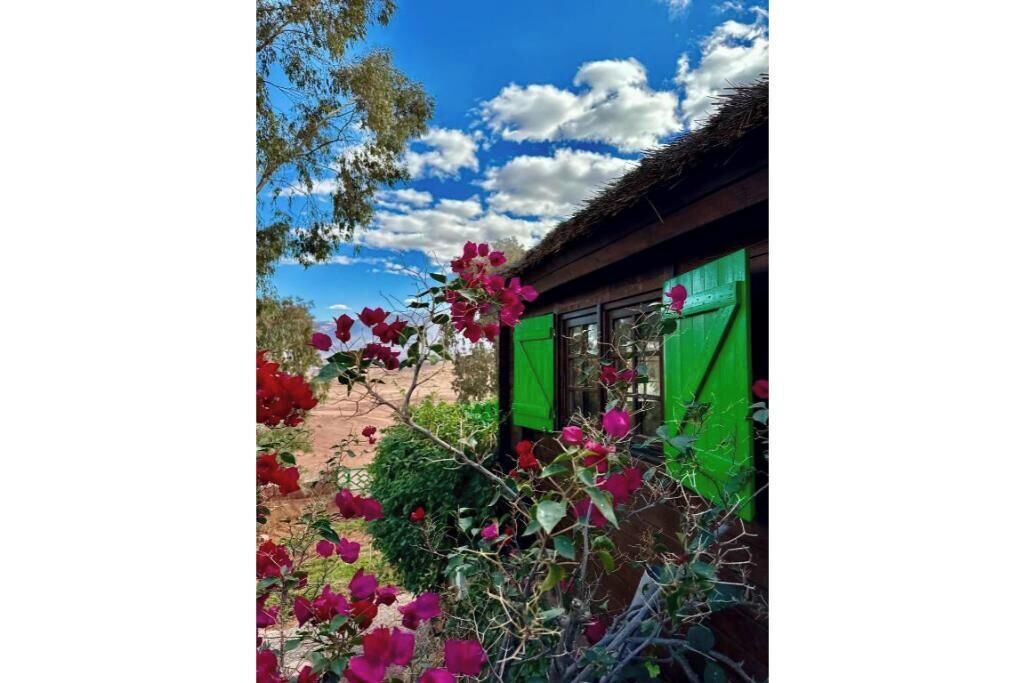 Photo of Outdoor in Bine el Ouidane