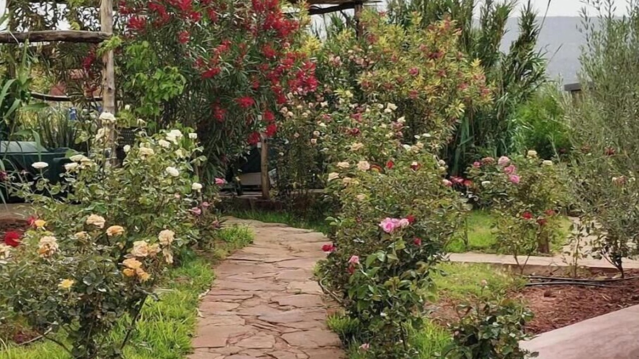Photo of Outdoor in Bine el Ouidane