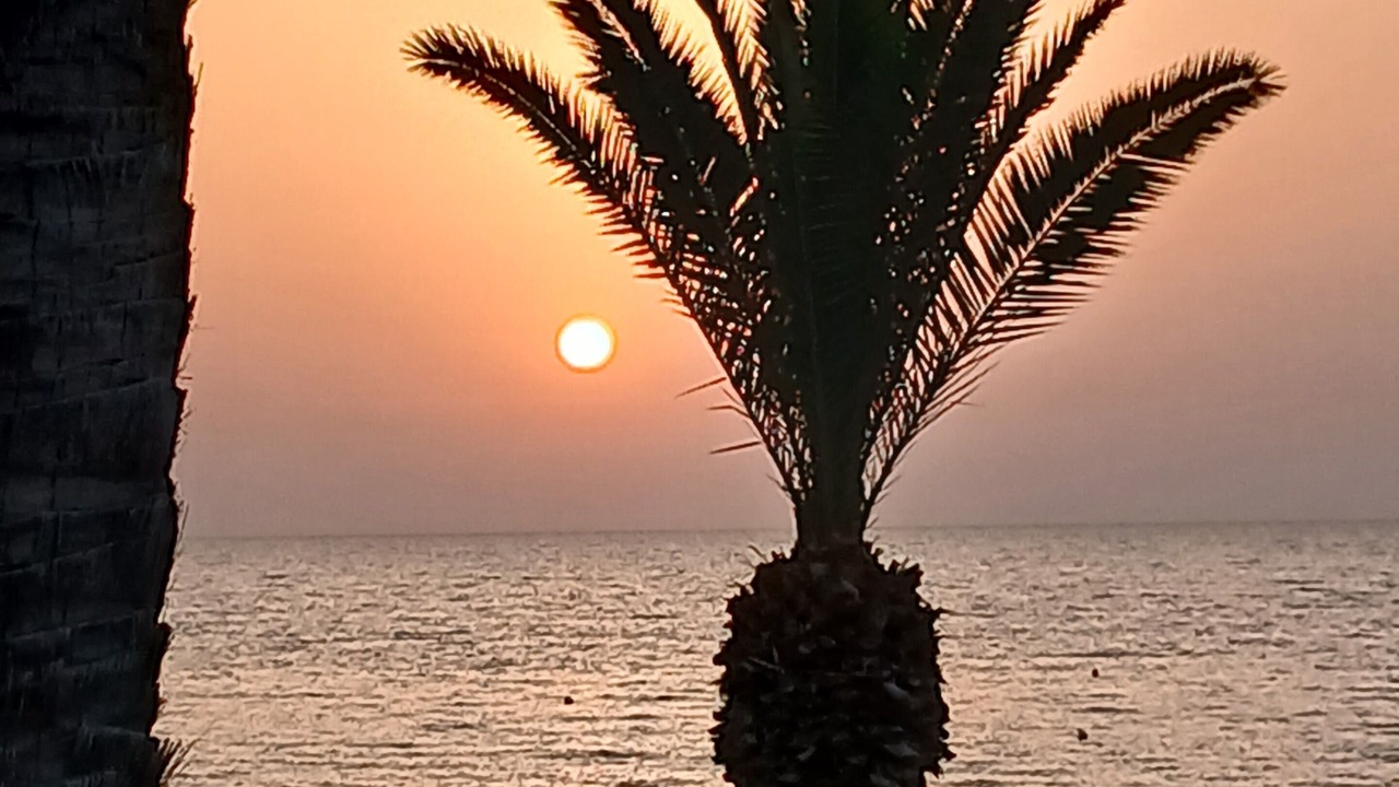 Photo of Others in Port El Kantaoui