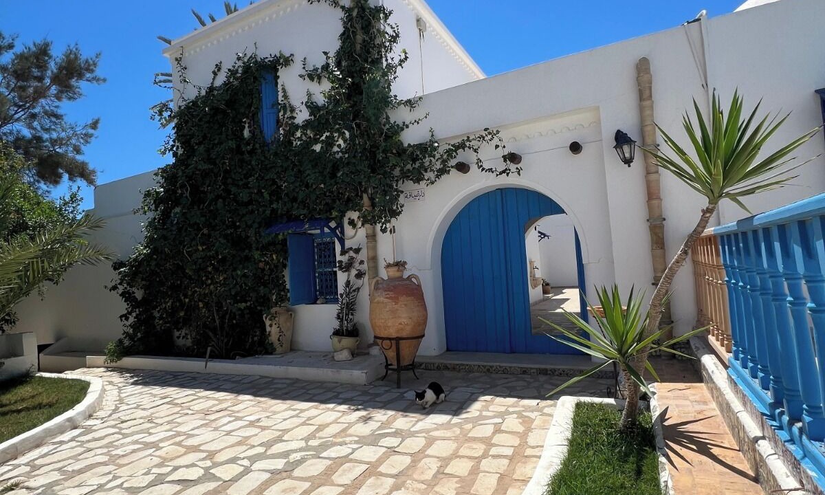 Photo of Outdoor in Medenine