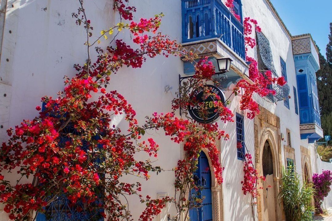 Photo of Outdoor in Amilcar