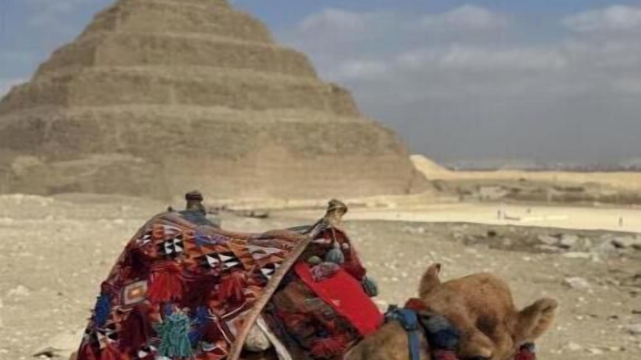 Photo of Others in Wadi El Natrun