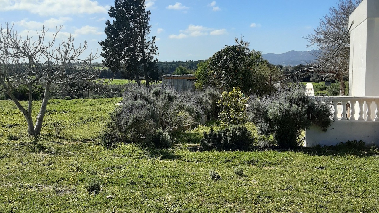 Photo of Outdoor in Taklisah