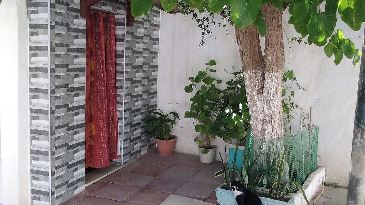 Photo of Outdoor in Le Kram