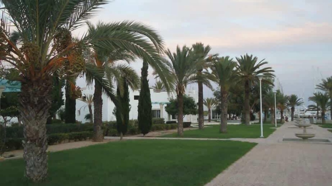 Photo of Outdoor in Yasmine