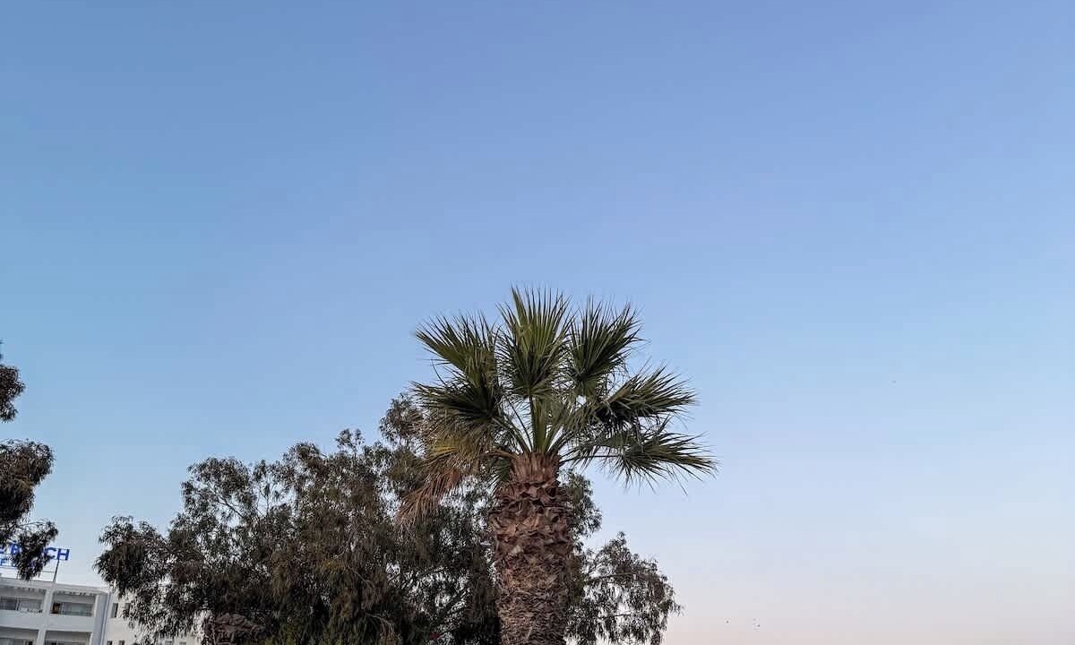 Photo of Outdoor in Monastir