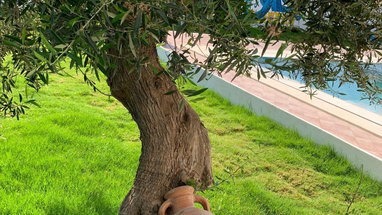 Photo of Outdoor in Ras Ettabia