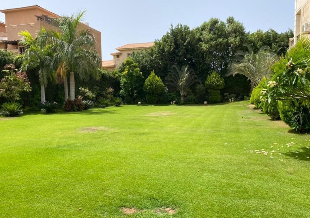 Photo of Outdoor in Mobarak City
