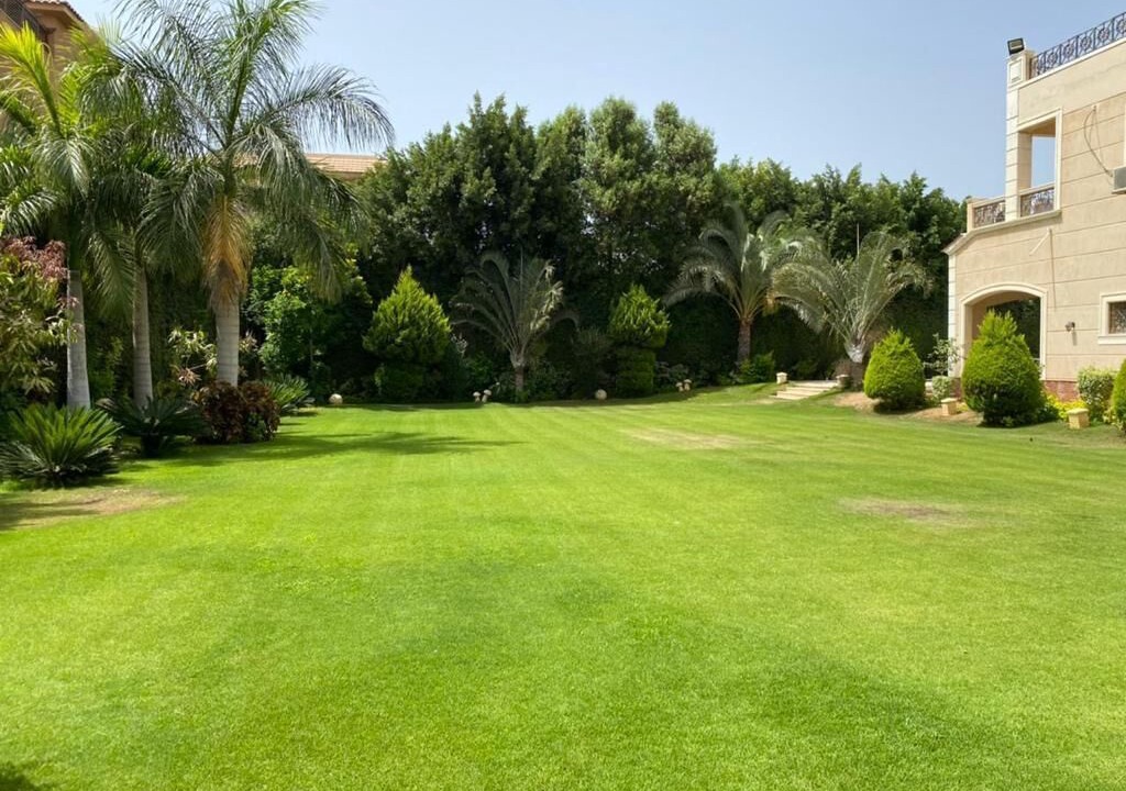 Photo of Outdoor in Mobarak City