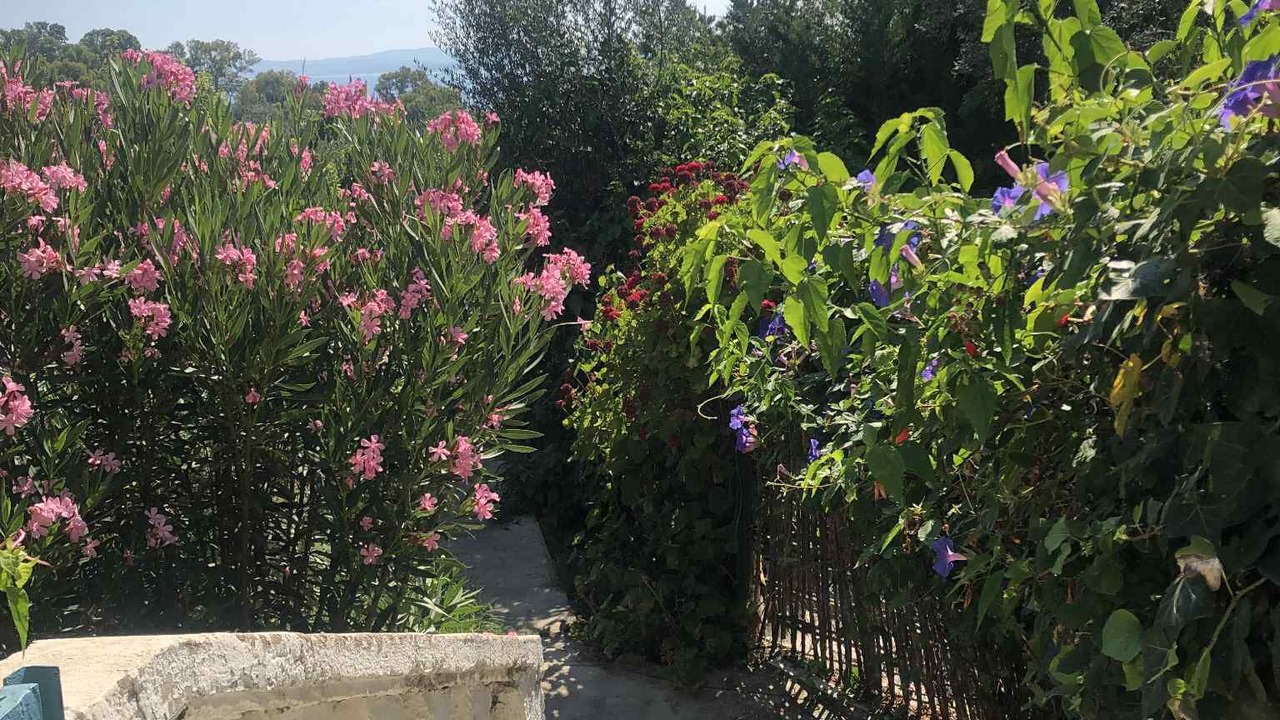 Photo of Outdoor in Cite Rmel