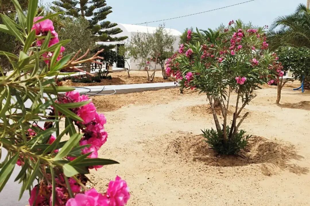 Photo of Outdoor in Sedghiane
