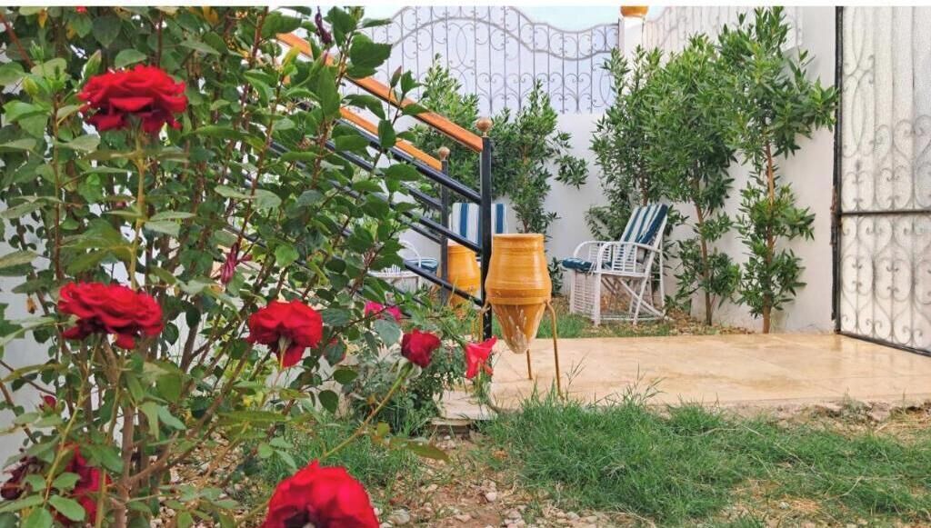 Photo of Outdoor in Luxor