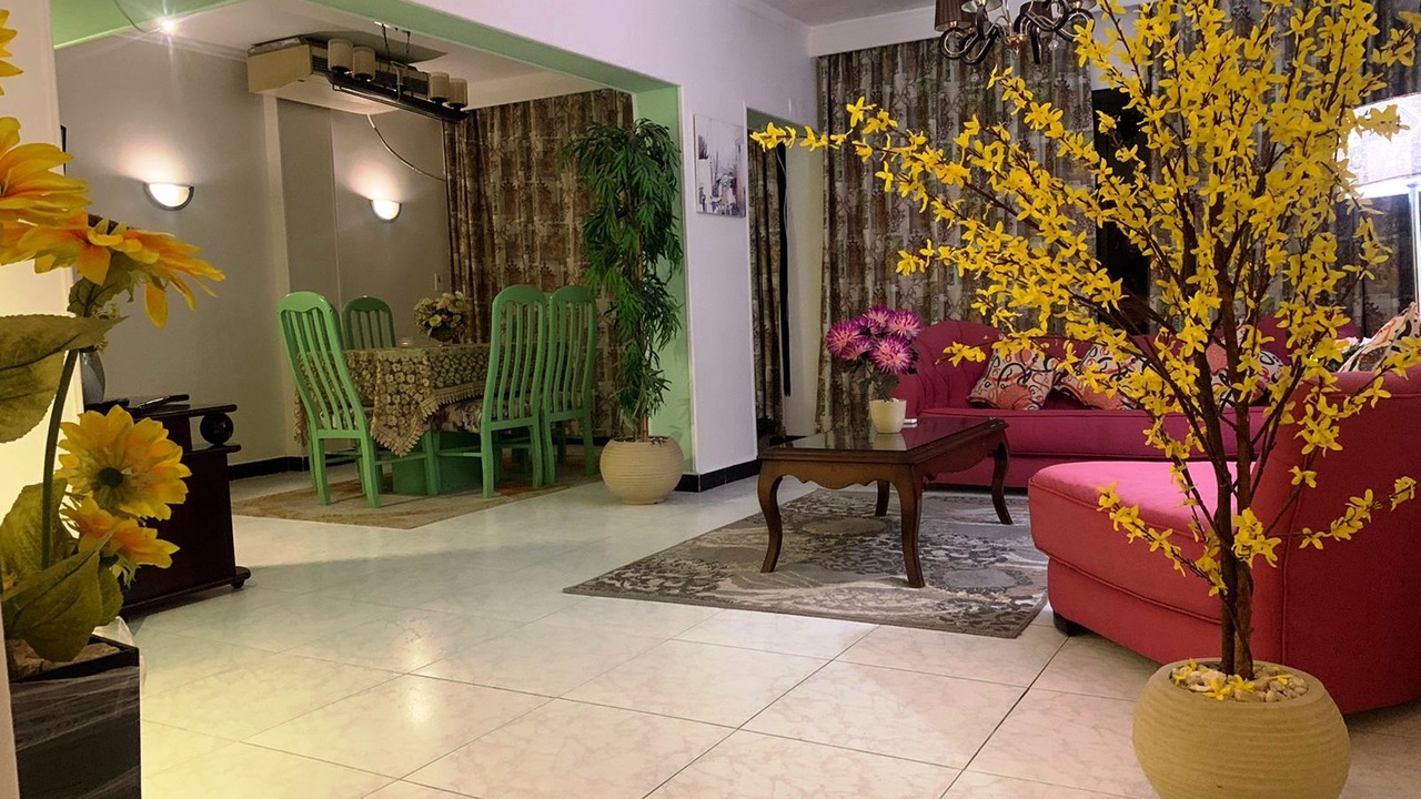 Photo of Livingroom in Nasr City