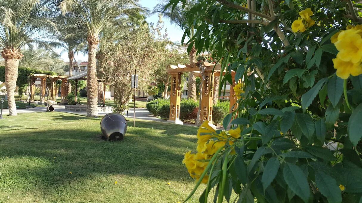 Photo of Outdoor in Al Mamsha El Seyahi
