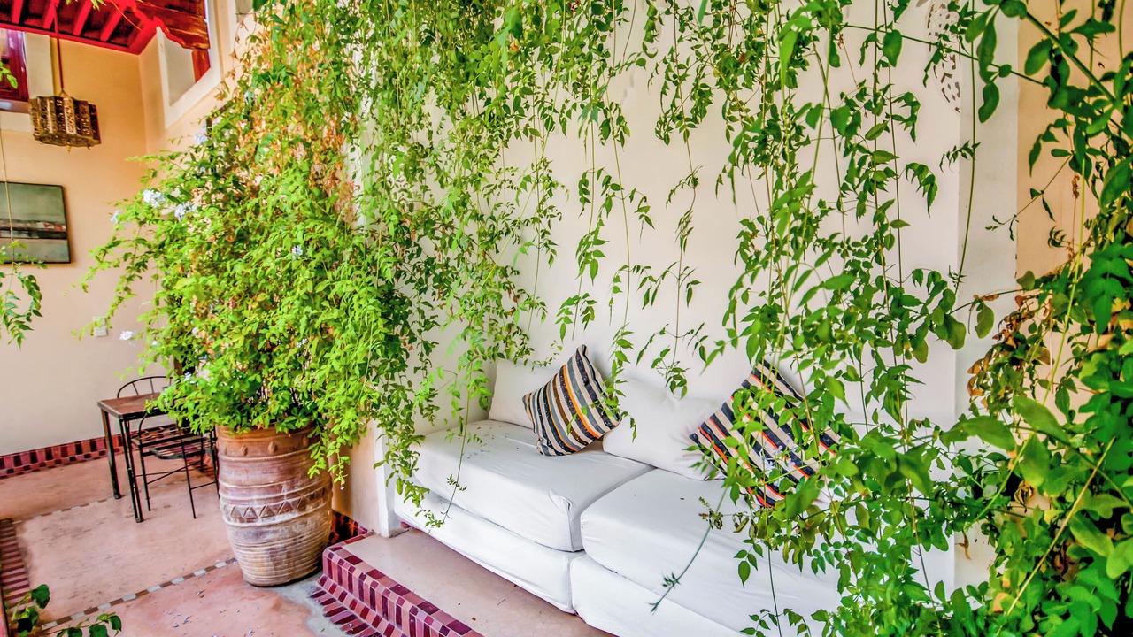 Photo of Patio Balcony in Sidi Bou Amar