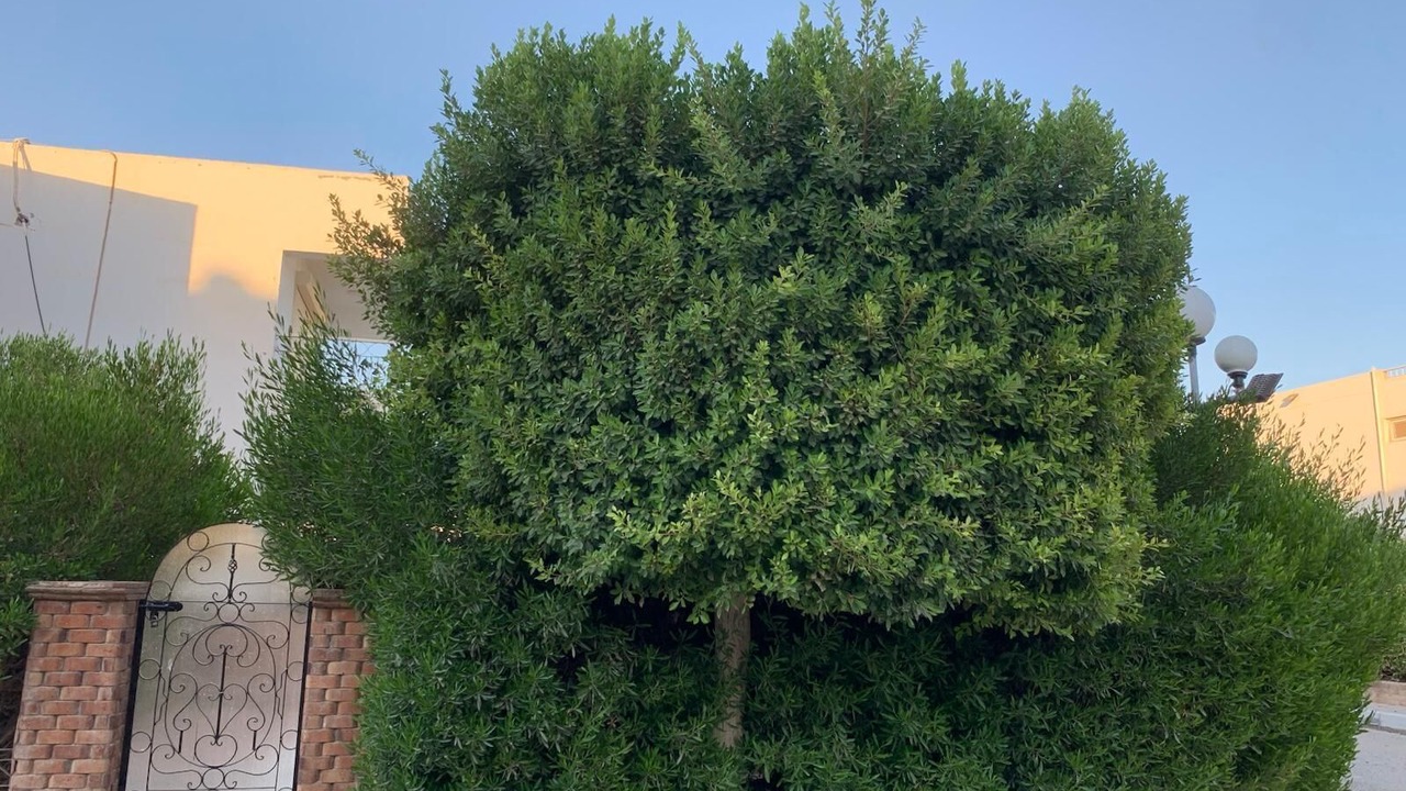 Photo of Outdoor in Ain Sokhna