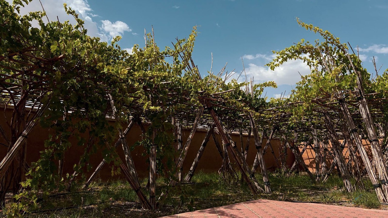 Photo of Outdoor in Lalla Takarkoust
