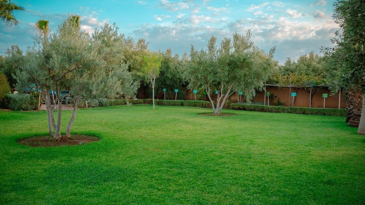 Photo of Outdoor in Aghouatim