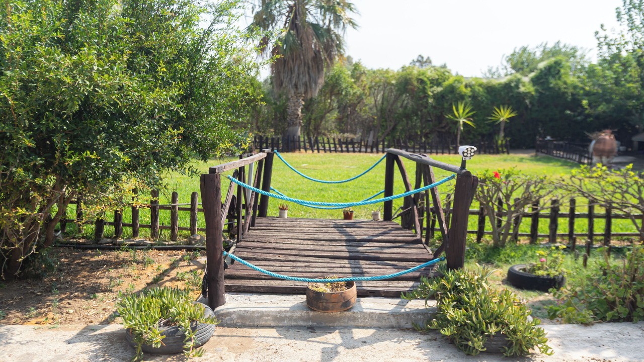 Photo of Outdoor in Soliman