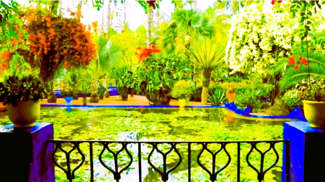 Photo of Outdoor in Semlalia