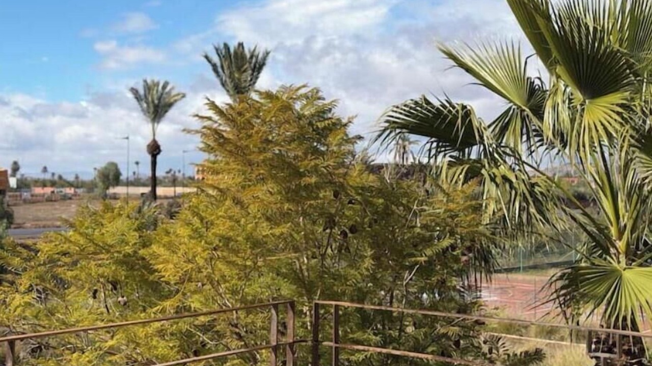 Photo of Outdoor in Menara