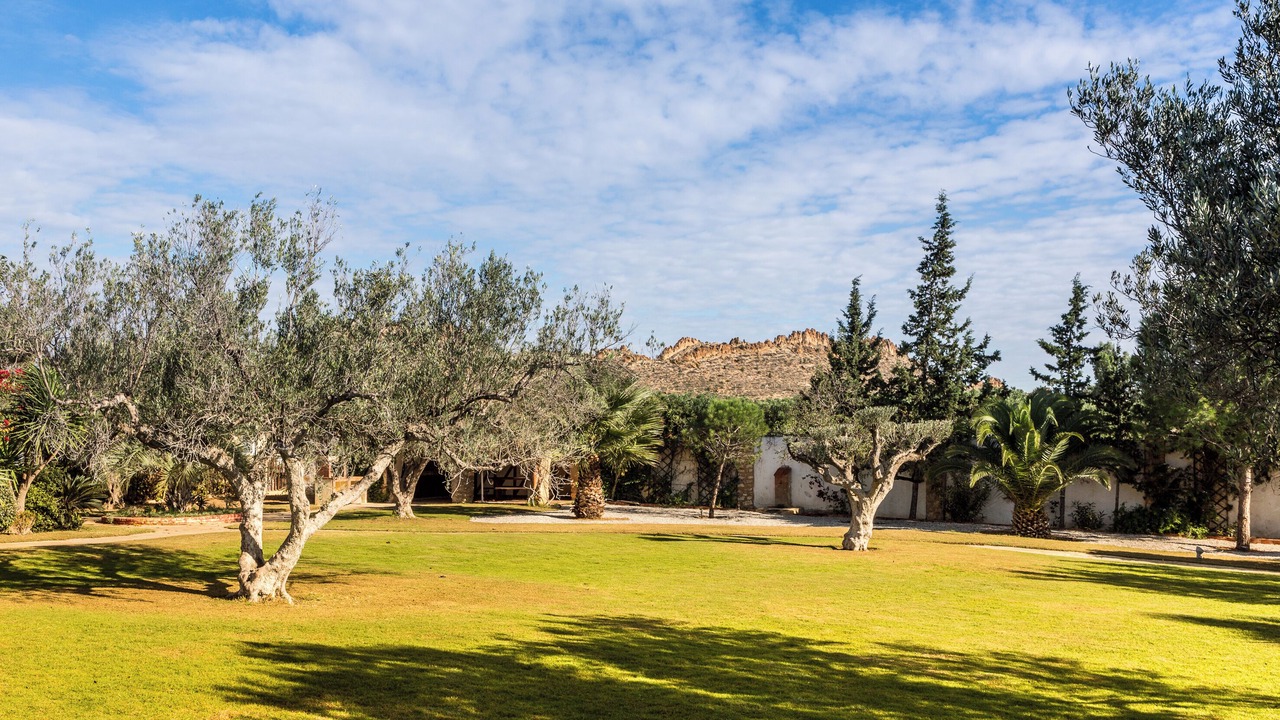 Photo of Outdoor in Hammam Bent Djedidi