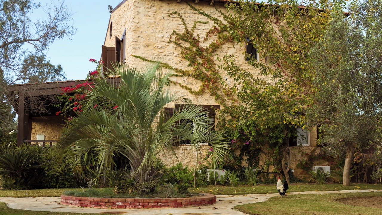 Photo of Outdoor in Hammam Bent Djedidi
