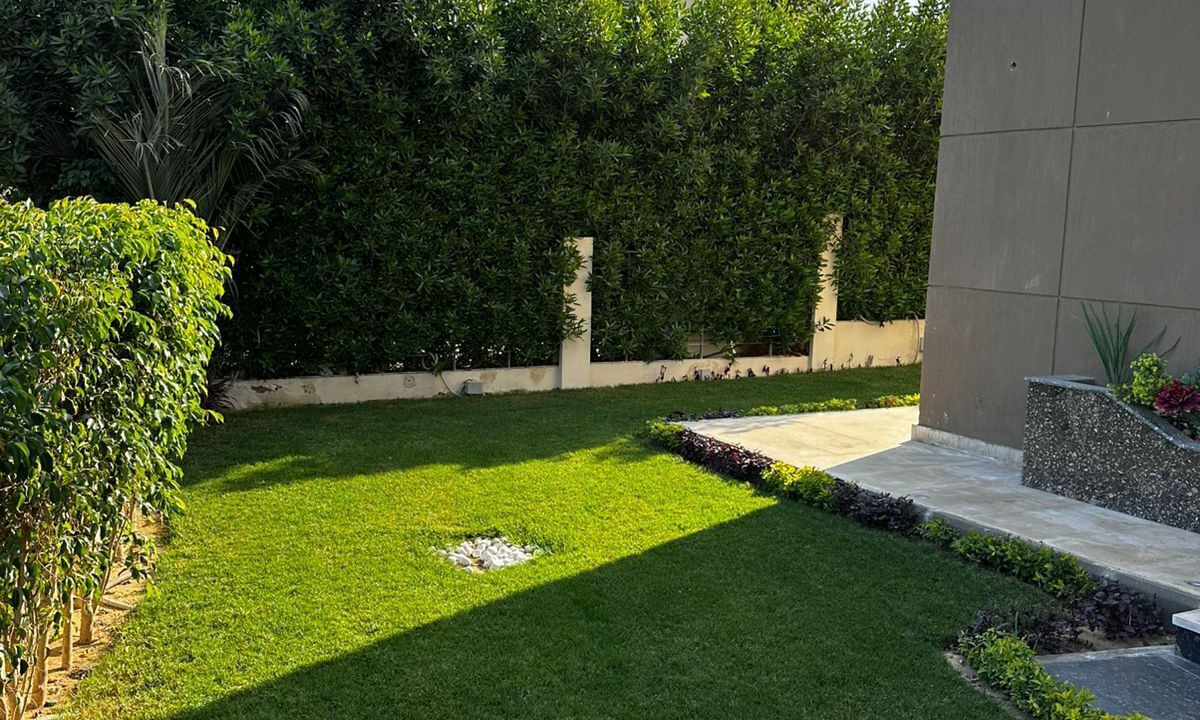 Photo of Outdoor in Cairo