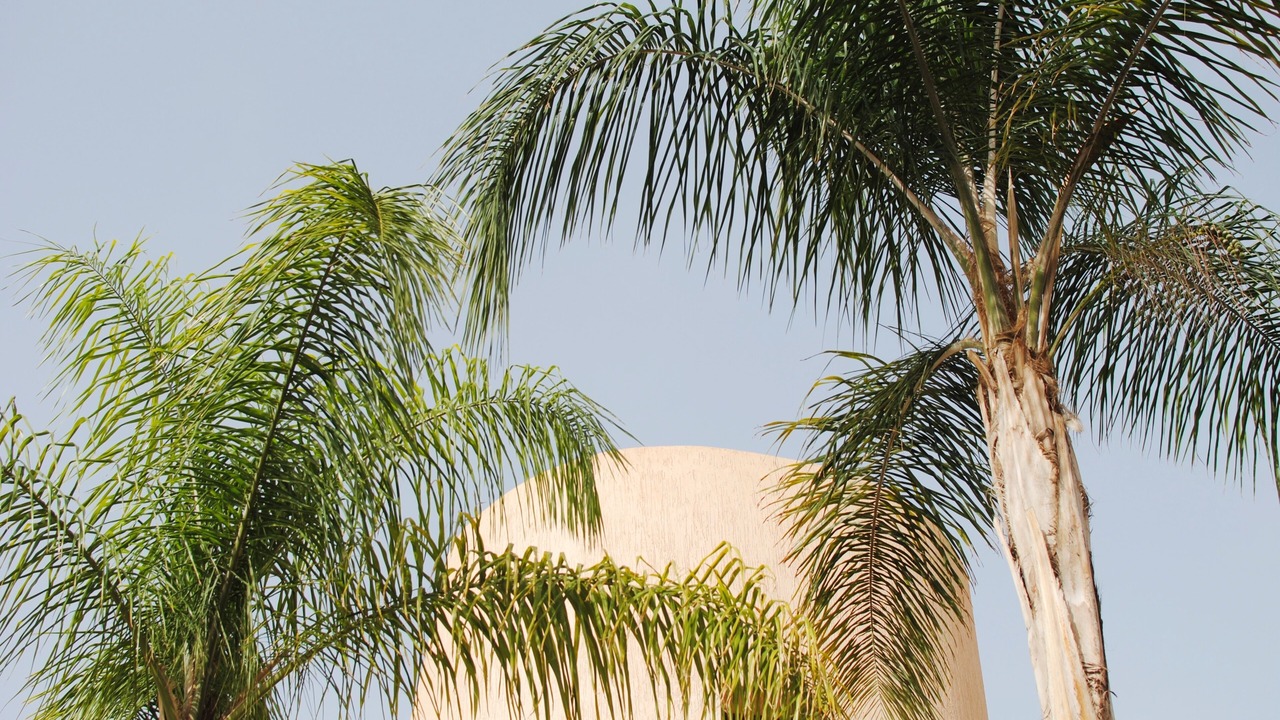 Photo of Others in El Aggada