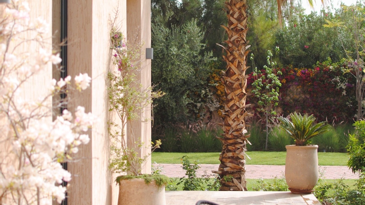 Photo of Patio Balcony in El Aggada